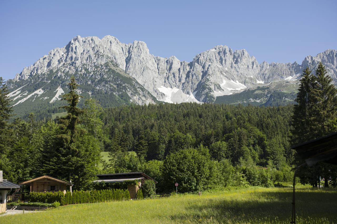Otto Steiner Appartements Pension Ellmau & Wilder Kaiser Exterior foto