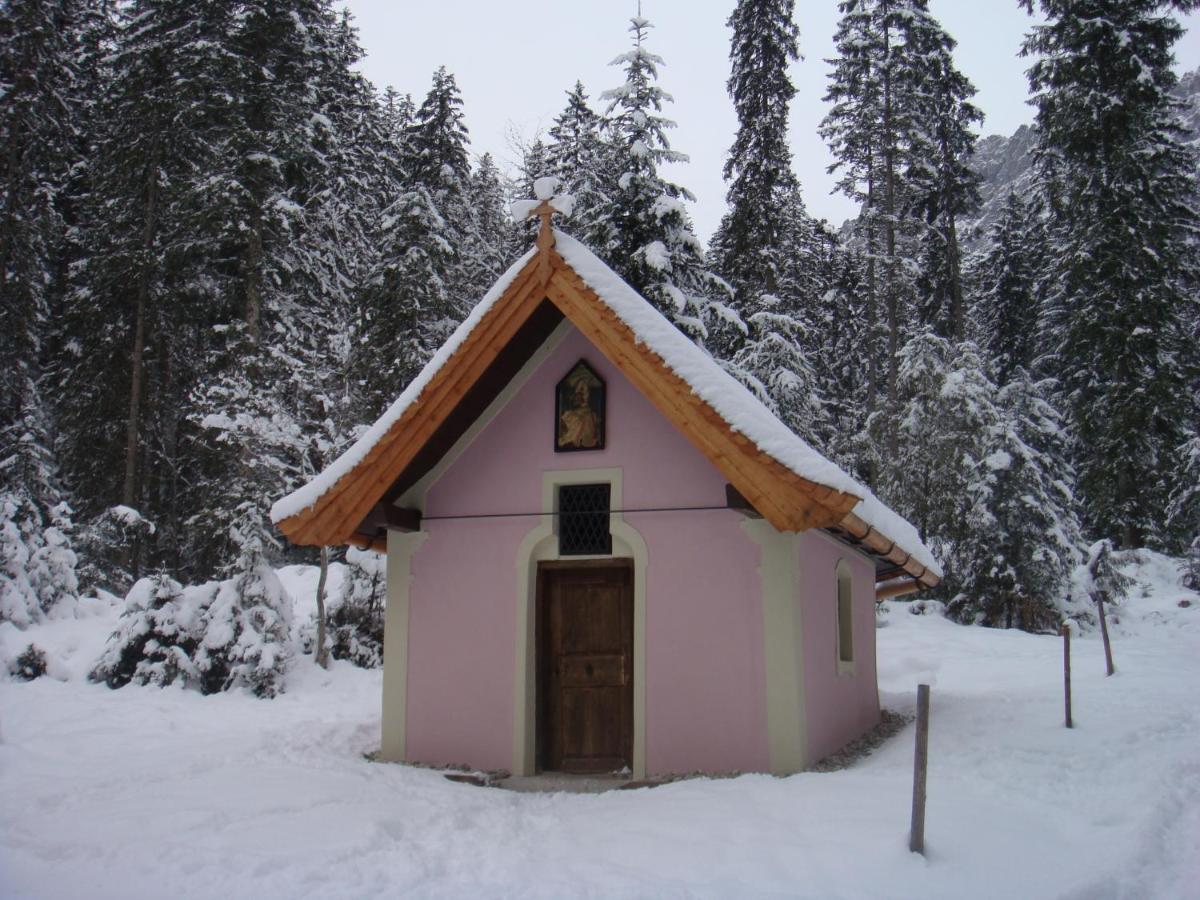 Otto Steiner Appartements Pension Ellmau & Wilder Kaiser Exterior foto
